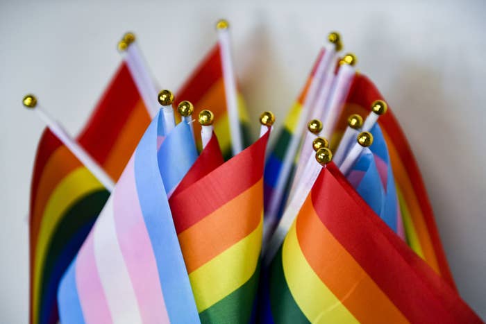 Flags representing the LGBTQ community