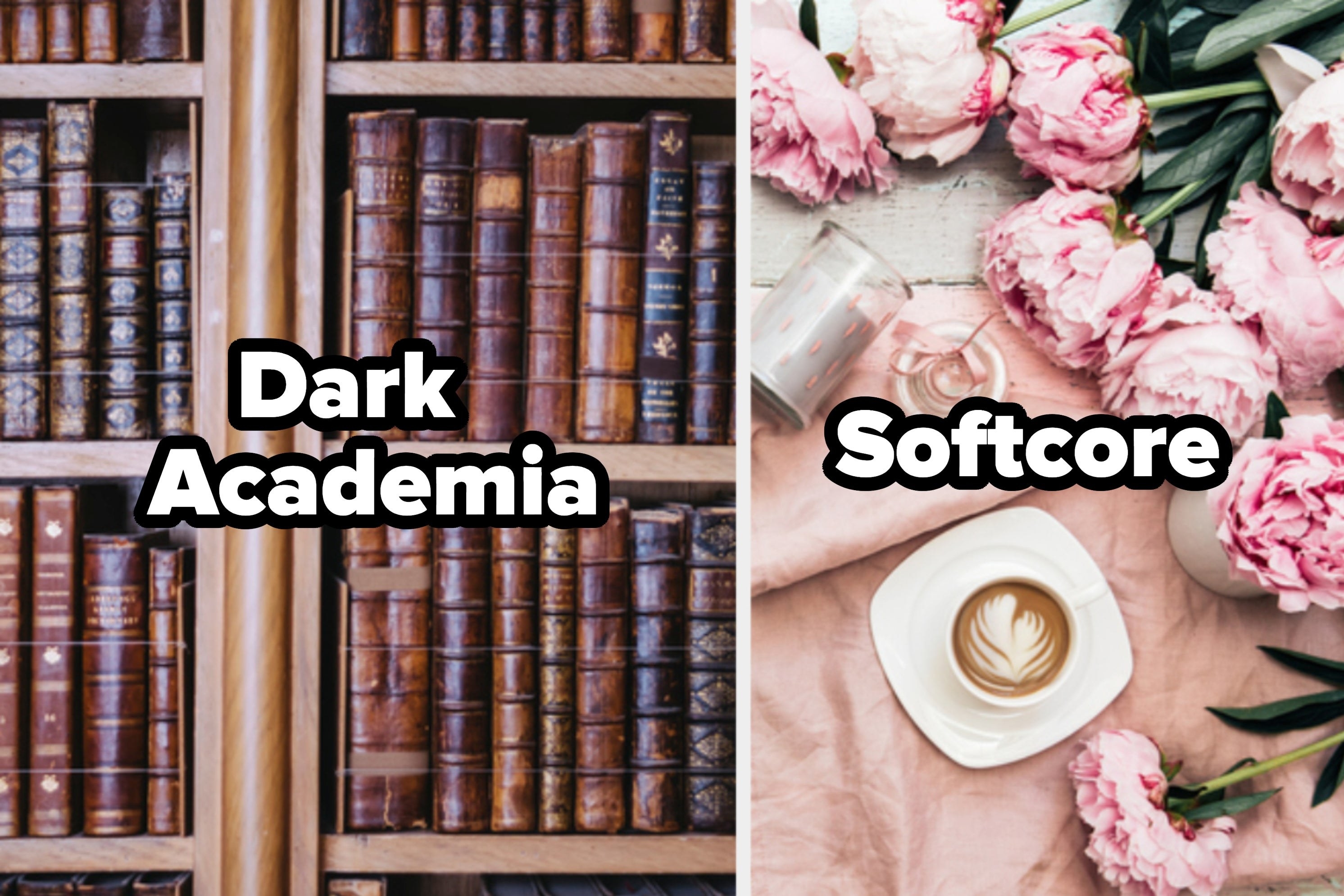 Dark academia and softcore 