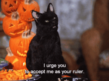 Salem saying &quot;I urge you to accept me as your ruler&quot; in Sabrina the Teenage Witch