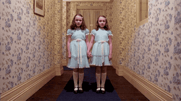 the twins in the hallway from the shining