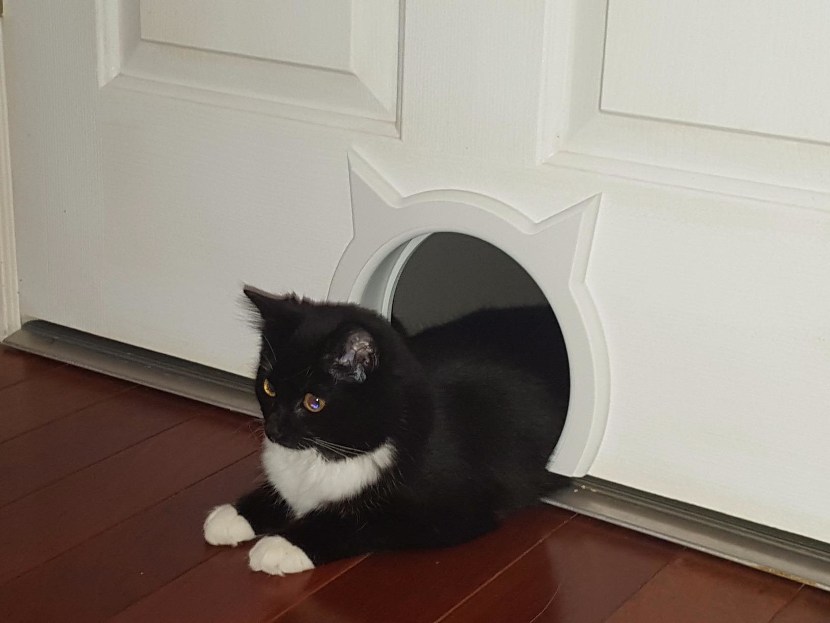 The cat passageway, which is round and has a cat ears design, installed in the bottom of a door that has had an area cut away
