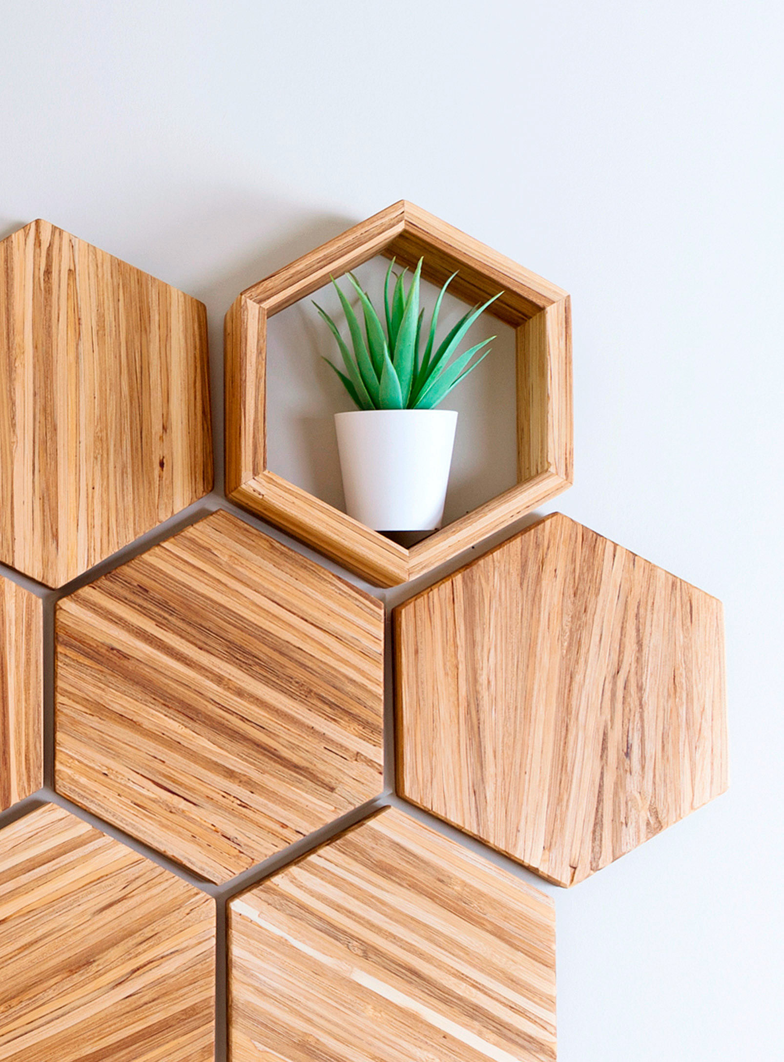the shelf with a plant in it surrounded by the hexagon plates