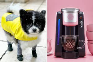dog rain jacket and coffee maker