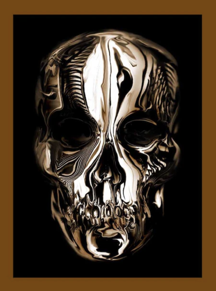 the skull cover on the book