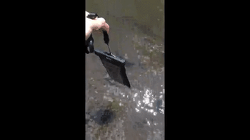 Reviewer dropping phone in the case into a streaming river 