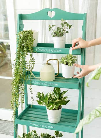 plant shelf with the different white pots 