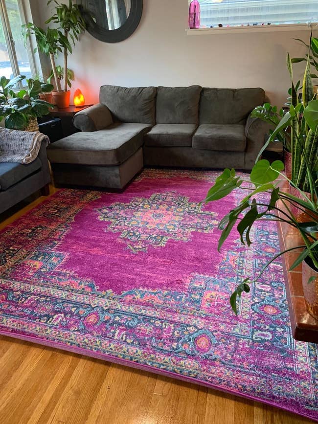 a reviewer's rug in their living room