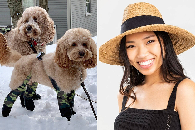 dogs in camo leggings and a model in a straw fedora