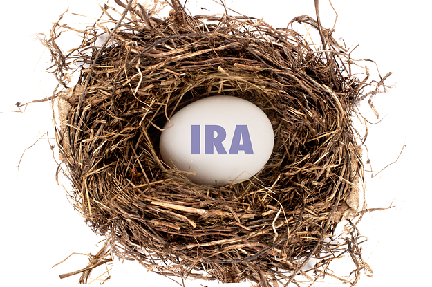 Nest with egg inside labeled IRA