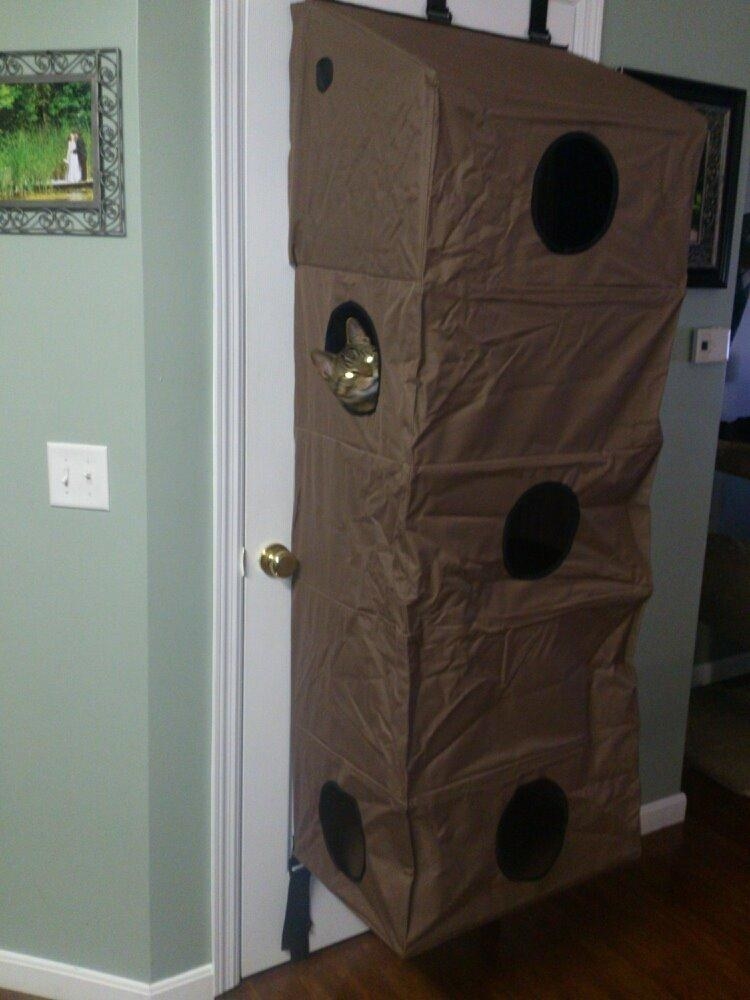 The five-level cat condo, which has entrances/ peepholes on multiple floors, and attaches to the back of doors with built-in straps