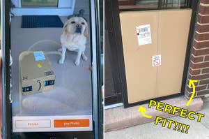 A dog sitting next to a package, and a a box that fits into a wall perfectly