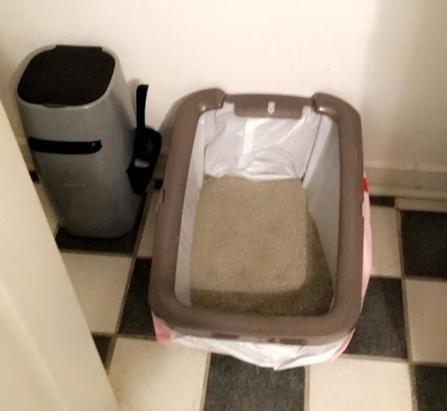 a litter box with the liner
