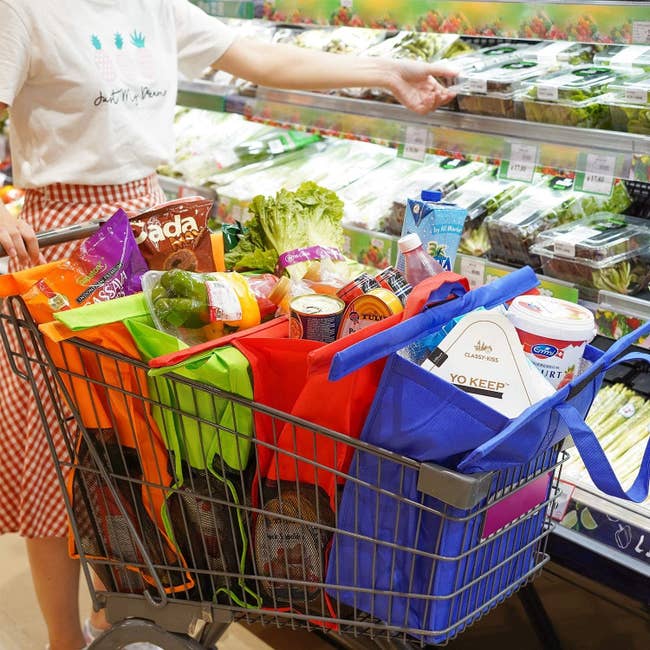 Model pushing a cart with orange, green, red, and blue collapsible bags hanging on the inside that are full of groceries 