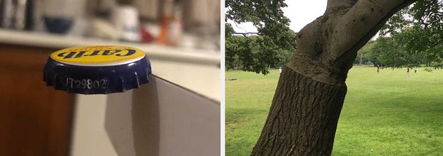 a bottle cap seemingly floating in mid-air and a tree that changes textures halfway up its trunk
