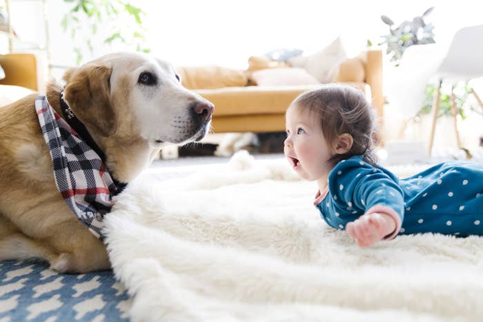 A dog and a baby both lying on the floor