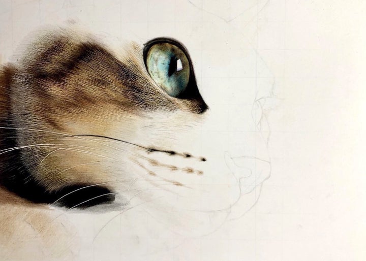 拡大しても絵に見えない 完成したにゃんこのイラストがおかしい