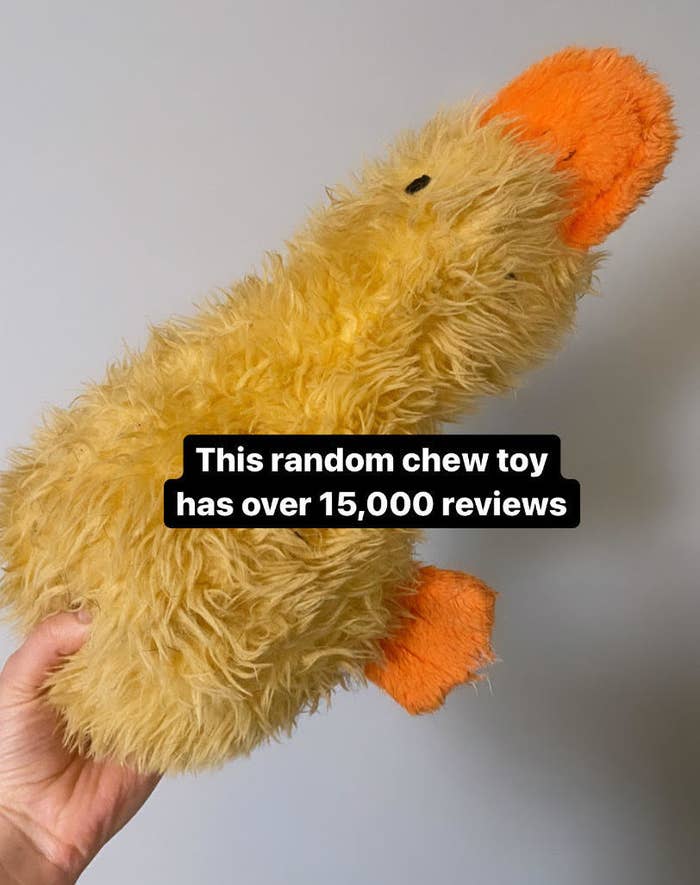 hand holding yellow duck toy with text &quot;this random chew toy has over 15,000 reviews&quot; 