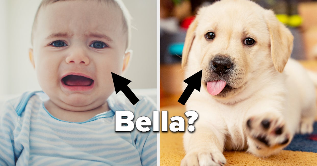 Are These Popular Baby Names Better As Dog Names?
