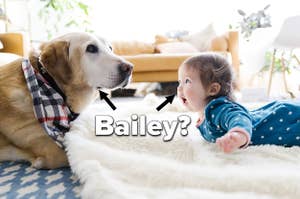 A dog and a baby both lying on the floor with the name "Bailey" in text pointing to both of them