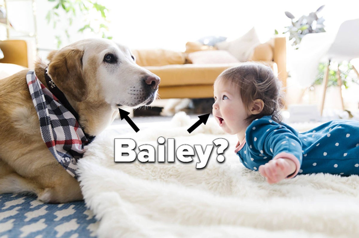 Are These Popular Baby Names Better As Dog Names