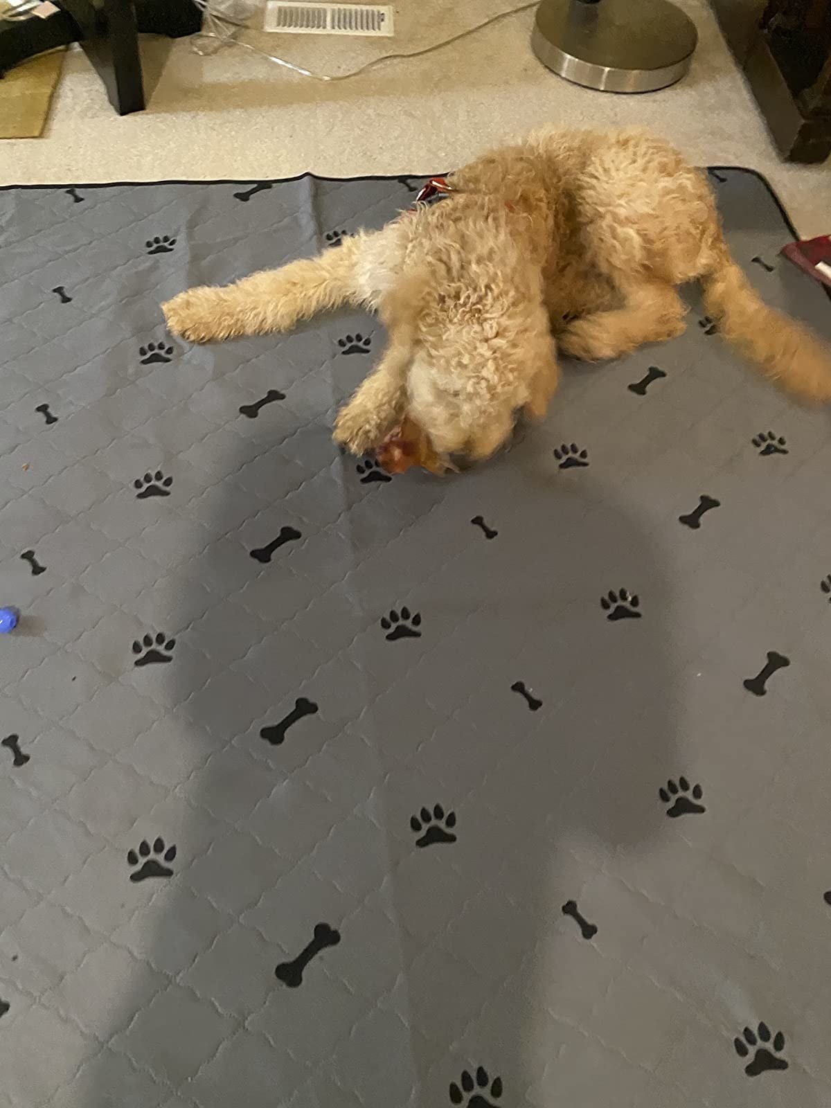 a dog on the gray quilted mat with paws and bones printed on it 