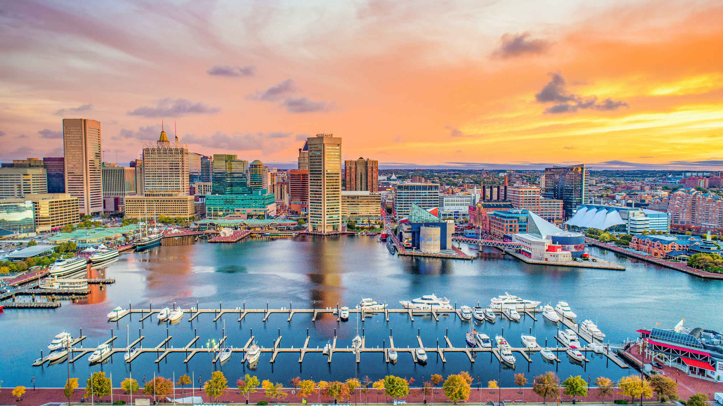 Boats in the harbor in Baltimore with tall buildings in the background