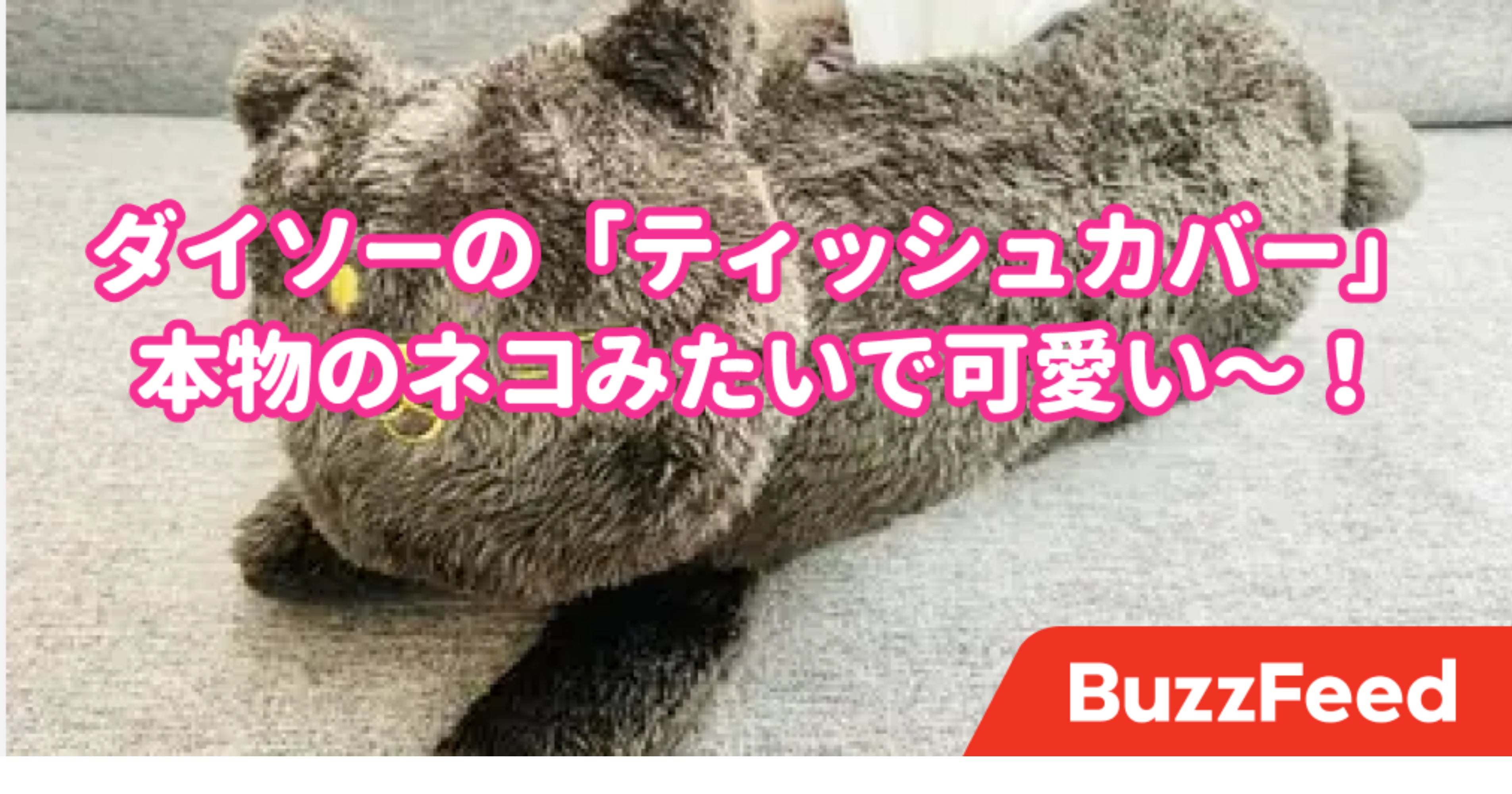 めっちゃリアル ダイソーの ティッシュカバー が完全にネコでした