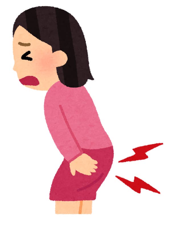 出会えてよかった フランフラン もちもちクッション でお尻が救われたよ