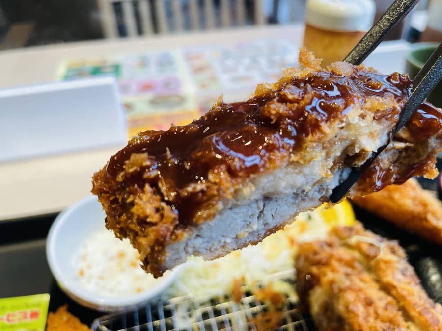 無料でダウンロード とんかつ ピンク 妊娠中 1649 とんかつ ピンク 妊娠中