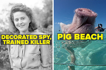 Odette Hallowes, a decorated WWII spy, and Pig Beach, and island in the bahamas 