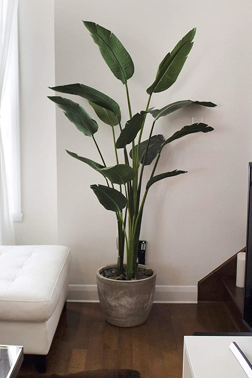 A five-foot-tall faux bird of paradise plant 