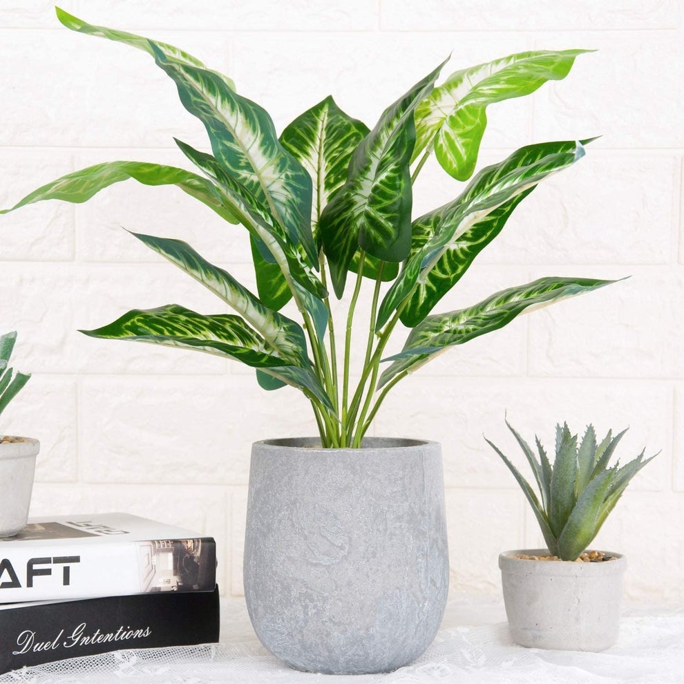 20 Faux Plants On Amazon That Reviewers Truly Love
