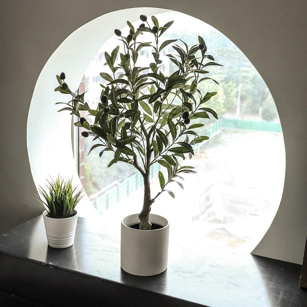 A 32&quot; faux olive tree in a white pot