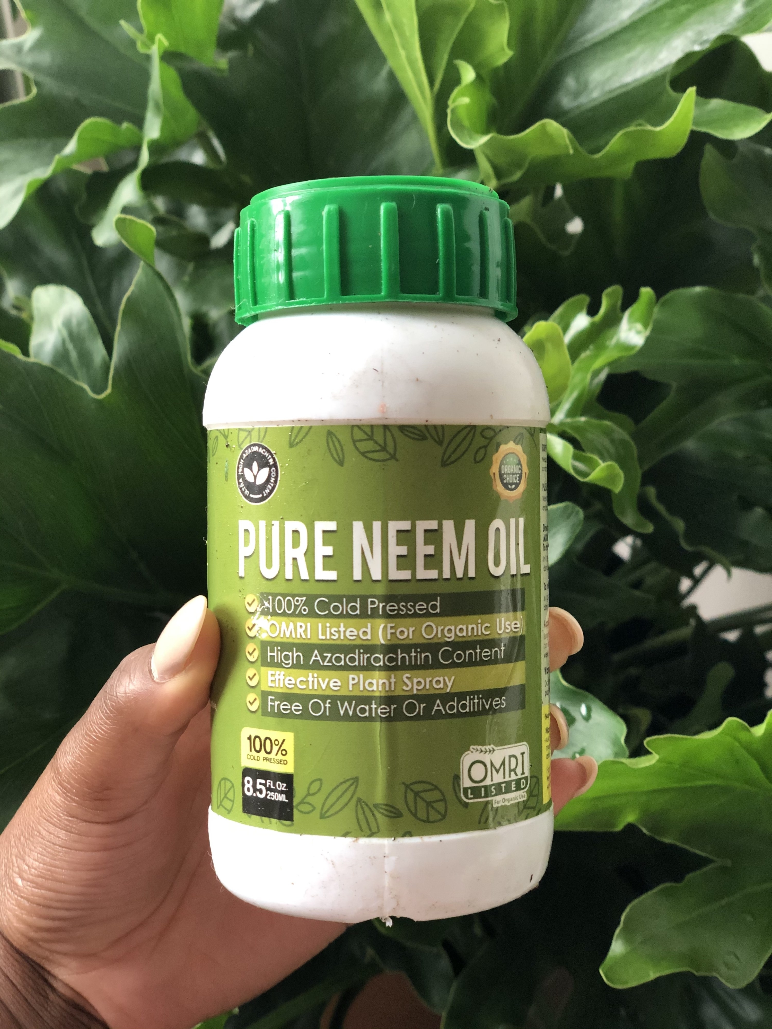 A reviewer holding the jar of neem oil