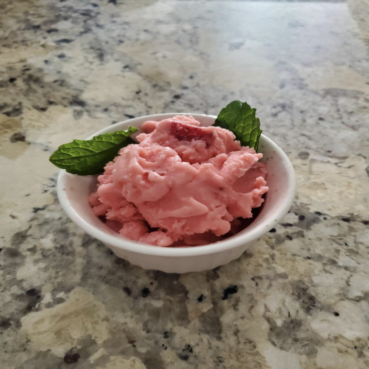 Reviewer image of a dish of ice cream made with the ice cream maker with two leaves garnishing it  