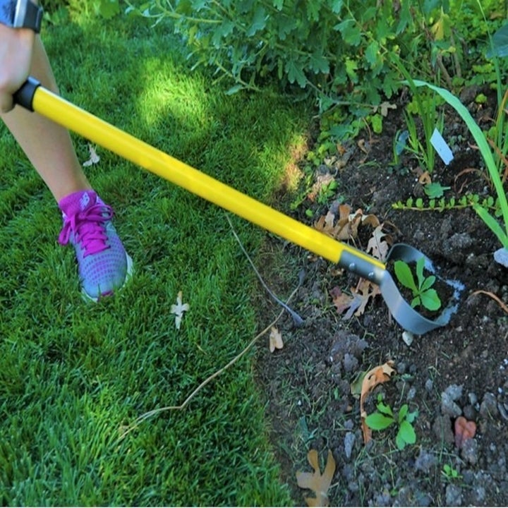 Model using the long-handled tool to pull up a weed