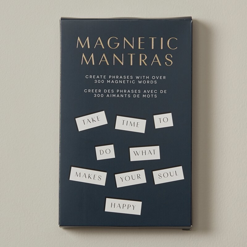 A box of megnetic words