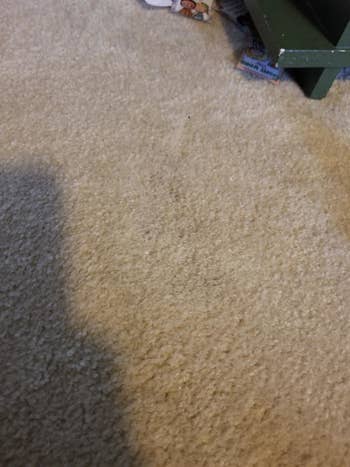 A reviewer's carpet after using the product, with no pet stain visible