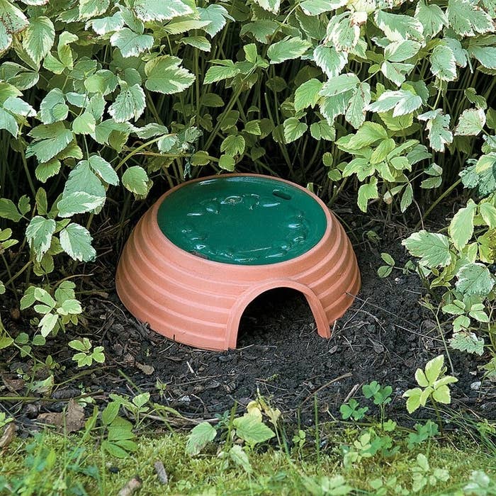 The toad house in a garden