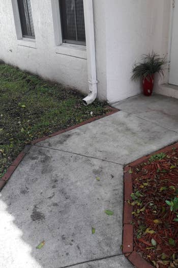 reviewer photo showing their sidewalk all dirty 