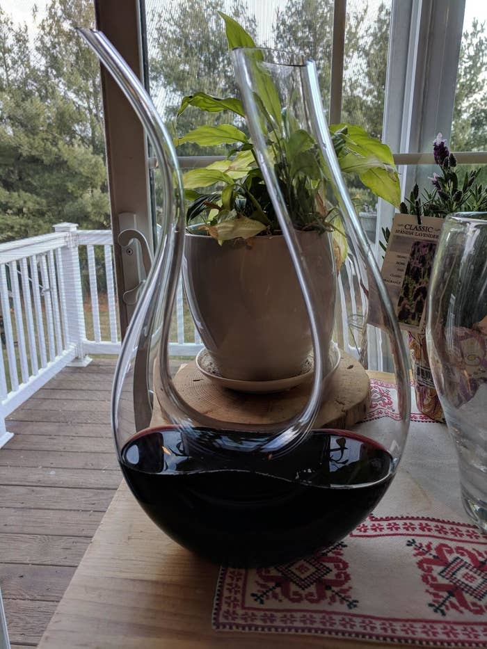reviewer image of the u-shaped glass decanter with one side thicker than the other and wine at the bottom of it
