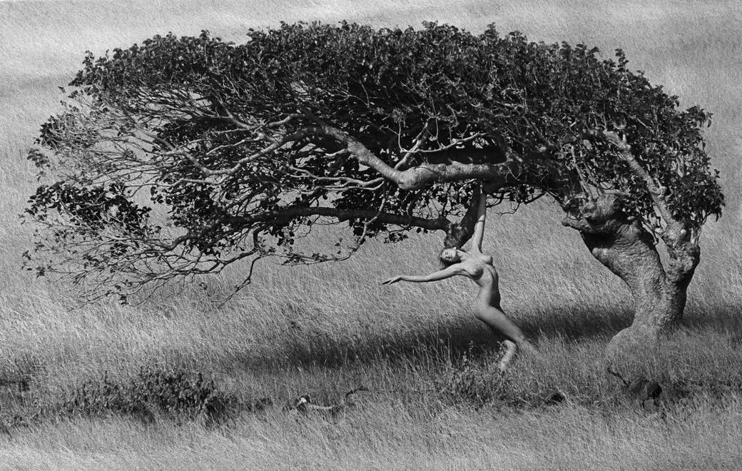 A naked woman dancing underneath a tree