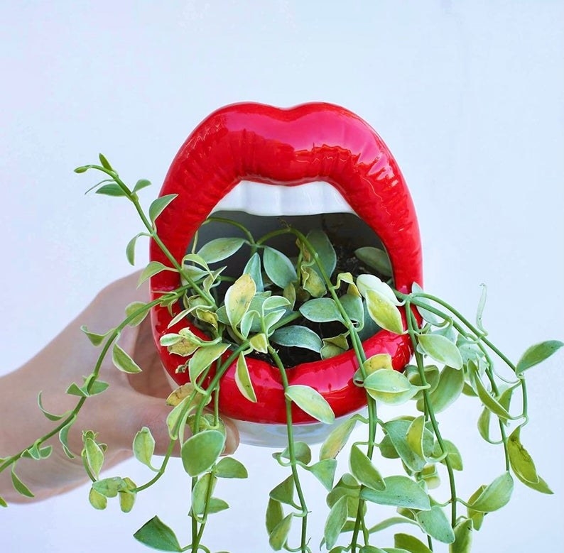 Model holding the red lips planter which has a plant inside
