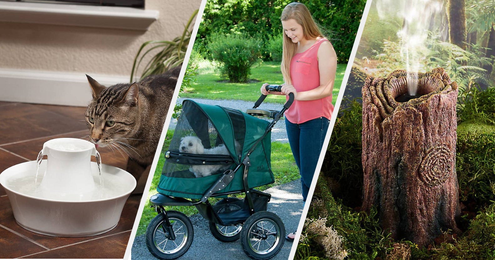 25 Helpful Products From PetSmart