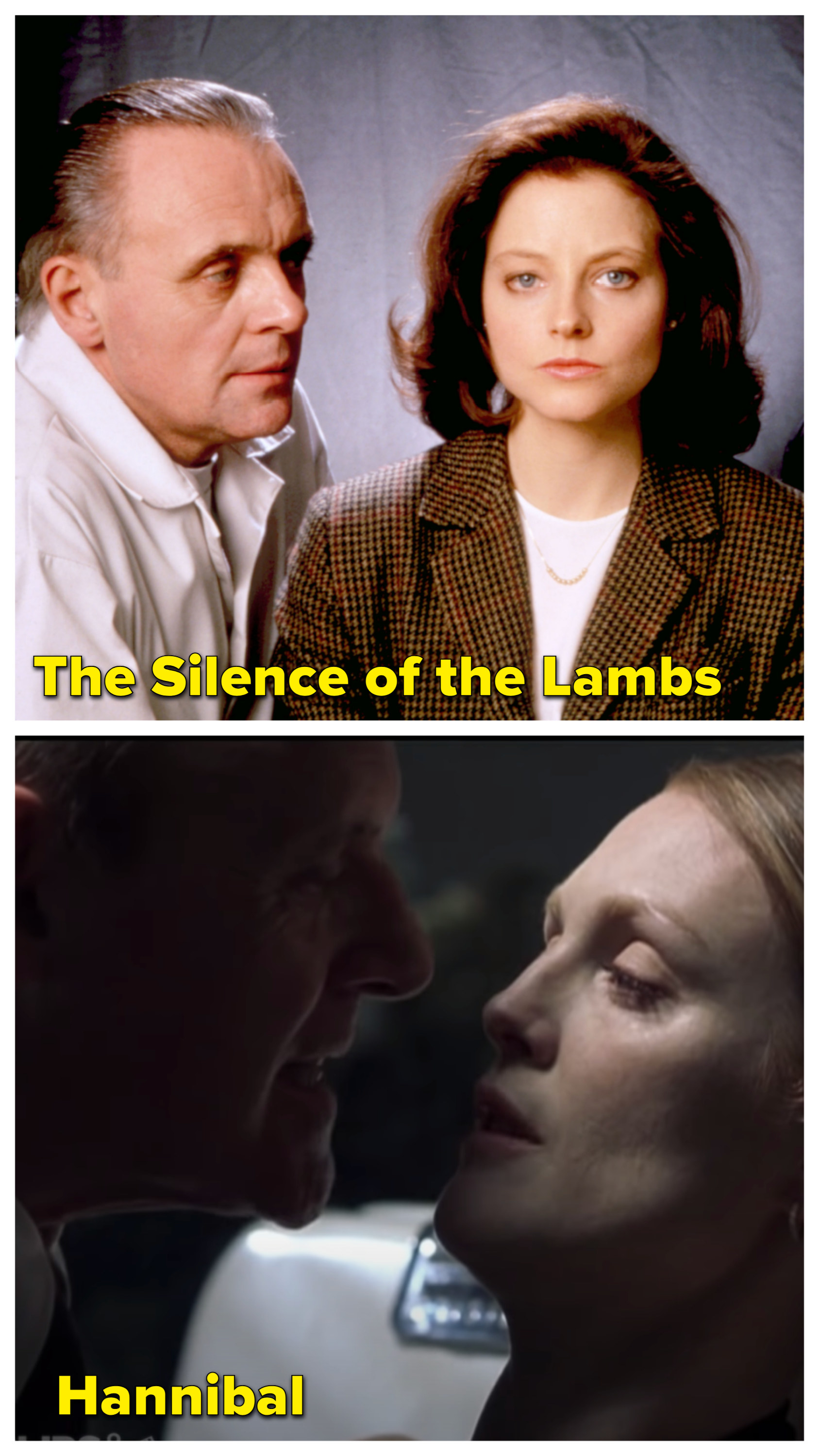 Foster and Hopkins in Silence of the lambs and Moore and Hopkins in Hannibal