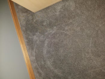 A reviewer's carpet in normal light