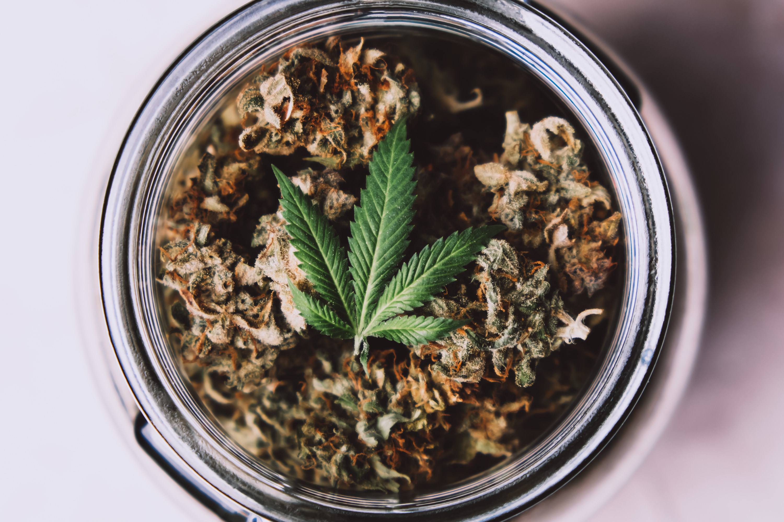 jar of marijuana with leaf on top