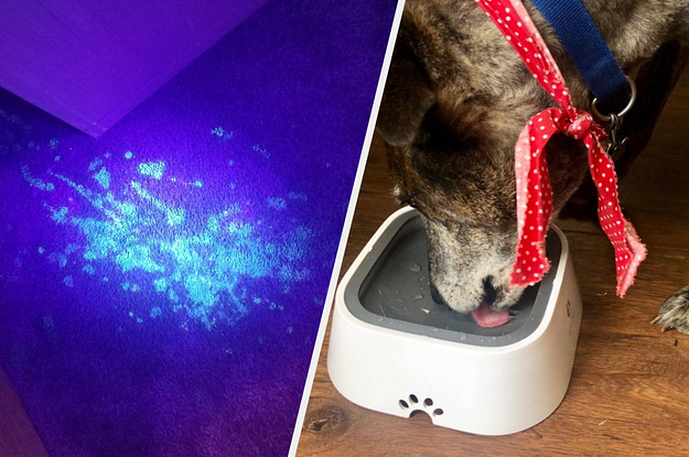 A UV lamp / a spill-proof bowl