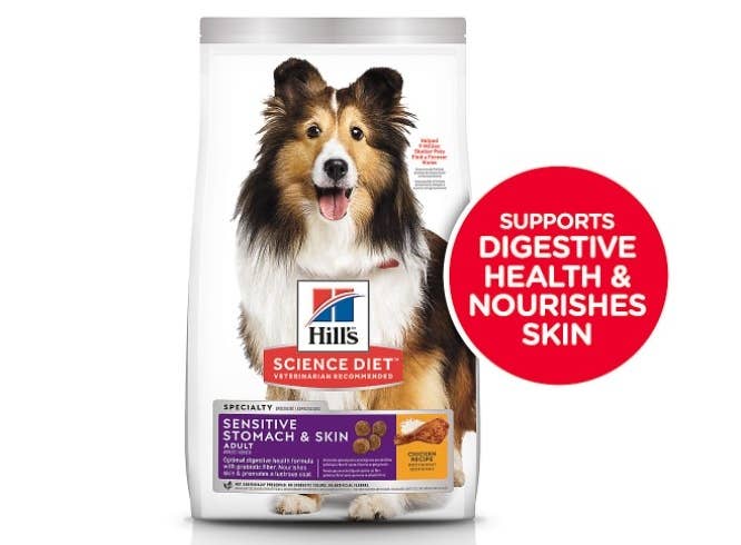 The bag of sensitive stomach and skin adult dog food with a Collie on the front