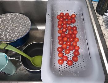 reviewer's strainer with fruits inside